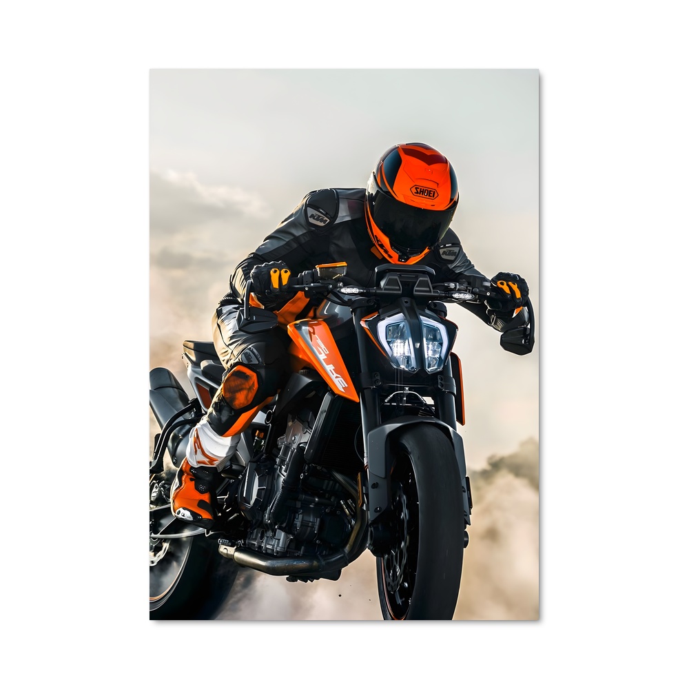 Poster Éminent Duke 790